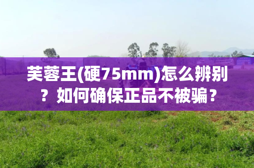 芙蓉王(硬75mm)怎么辨别？如何确保正品不被骗？